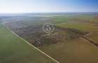 Ocazie- Teren Intravilan de Vanzare- Peris Snagov- Doar 10 euro/mp - 8