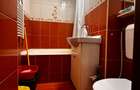 Apartament 2 camere decomandat, mobilat și utilat - Zona Piața Reșița - 15