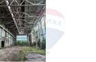 Spatiu industrial,Hala productie 3.990 mp+teren 13.987mp,Campia Turzii - 9