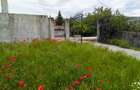 Casă de calitate la preț de apartament: 133 mp utili - 12