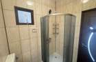 Apartament modern 2 camere de inchiriat in Micalaca - 10