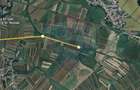 Vanzare teren extravilan agricol, com. Matasaru - Dambovita - 1