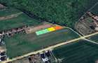 LOTURI DE 500mp | LANGA PADUREA SNAGOV | IZVORANI - LOCATIE DE VIS | COMISION 0% - 4