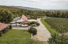 Proprietate istorică , crama +vie DOC + distilerie +loc. evenimente+ 20000 vin - 3