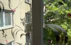 Apartament 4 camere - Crangasi - Proprietar - 4