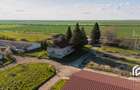 De vanzare Complex Zootehnic Suine Jud. Arad SU 15.30ha, Ferma, Grajd - 8