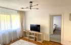 Apartament 2 camere-Take Ionescu Timisoara - 2