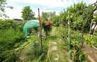 CASA 5 CAMERE 145 MP TEREN 660 MP DAMBUL ROTUND - 23
