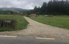 Teren intravilan in Barcani la 49 km de Brasov - 1