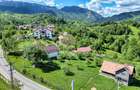 TEREN INTRAVILAN 2.000 MP ÎN PEȘTERA – MOIECIOU | IZVOR PROPRIU | UTILITĂȚI | D - 4