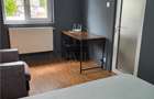 TAKE IONESCU - 2 CAMERE - RENOVAT - ETAJ 2 - CENTRALA PROPRIE - CLIMA - 6