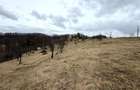 TEREN 34.000 MP | SERANI BIHOR - 6