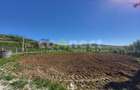 Teren intravilan de vânzare | 2942 mp | Ciurila, Cluj - 3