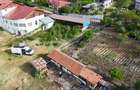 Teisori domeniul verde cu baltă de pește ,Neajlov,,Padure - 3