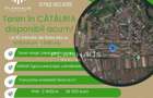 Teren intravilan Cătălina, 1 598 mp ,acces din drum principal - 1