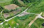 Teren intravilan de vânzare – 4.000 mp, Vișan - 2