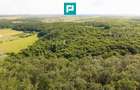 TEREN AGRICOL EXTRAVILAN  22.900 MP LIPOVA - 9