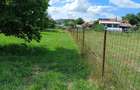 Vand Teren in Gilau 2120mp + 2 Case 113mp - cu acte in regula - unic proprietar - 4