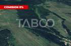 COMISION 0 - Padure de vanzare 127.000mp hectare in judetul Sibiu - 1