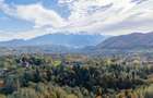Teren intravilan în Zărnești, zona Tohanita, cu pădurice și parau curg - 5