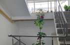 Apartament 2 camere Miroslava, 100 ml de statia de autobuz, str C-tin Langa 40 - 27