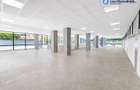 Spațiu comercial 460 mpu | Parter | Vitrină 20 m | Curte | Doamna Ghica - 1