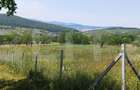 Teren extravilan de 1000 mp, situat pe strada Ghinzii - 2