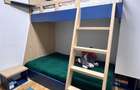Vanzare 4 camere cu curte Herastrau - 5