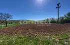 Teren intravilan de vânzare | 2942 mp | Ciurila, Cluj - 4