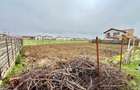 Lot Intravilan Rate 644mp Mamina - Berceni | utilitati: Curent | #MG2R - 2