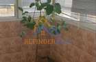 Apartament de vanzare cu 3 camere, zona Rahova - Margeanului - 10