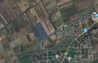 Oportunitate de Investiție – Teren 65.516 mp în Nojorid, Bihor! - 1