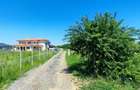 Lot pentru două case – Corbeanca Tamași - 3