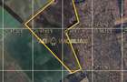 Teren Extravilan | Tartasesti - Bildana | 27 HA | Comision 0% - 1