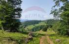 Teren 130000 mp extravilan, faneata si padure, Munteni - Bulz, Negreni - 13