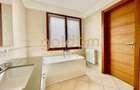 PET FRIENDLY/IANCU NICOLAE/PISCINA/GARAJ/BRITISH SCHOOL - 36