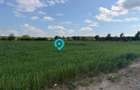 Teren Snagov - Cioflinceni | Drum amenajat | Aproape de Padure si Lac - 4