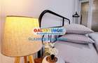 APARTAMENT DUBLU DE 5 CAMERE DE INCHIRIAT ROMANA - 14