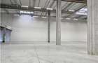 Spatiu Industrial - 5500 mp - Logistica - Productie - Depozitare - 13