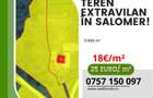De vânzare teren extravilan în Salomer! - 1