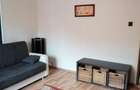 Ofer spre inchiriere apartament cu 1 camera  - 1