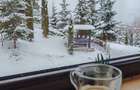 Locație superbă de vânzare, casa de vacanta, locuință, afacere în turism,.  - 12