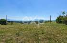 PANORAMA POIANA MĂRULUI | Teren cu potențial de dezvoltare - 3