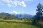 Teren intravilan de vânzare | Valea Avrigului-Porumbacu de Jos - 7
