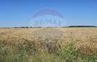 Teren Extravilan la granita cu Intravilanul - Măcheaua-Corbeanca - 1