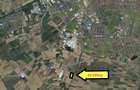 Teren extravilan 80.000 mp – lângă calea ferată & Profi Logistic – Șag - 3