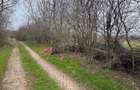 Jilava - Centura Bucuresti - teren intravilan 423 mp - 3
