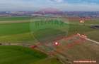 Teren intravilan 10.000 mp în Zona Industrială Sud Arad - 2