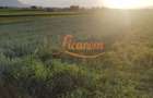 Teren Stupini Calea Feldioarei 11800 mp,25 euro/mp, front asfalt-DN13 - 7