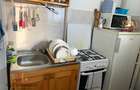 Apartament 1 camera, UMF, Aleea Carpati, Targu Mures - 3